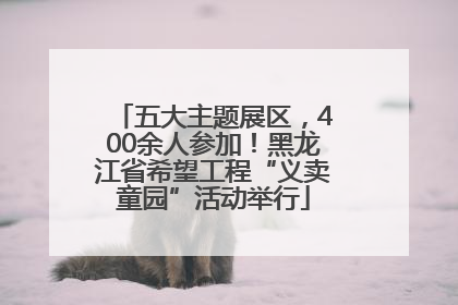 五大主题展区，400余人参加！黑龙江省希望工程“义卖童园”活动举行