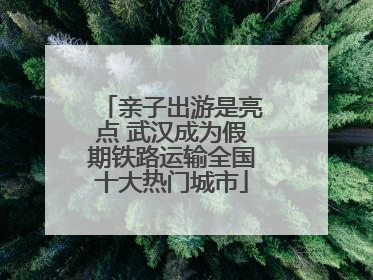 亲子出游是亮点 武汉成为假期铁路运输全国十大热门城市