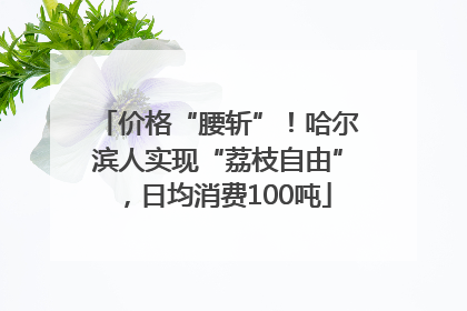 价格“腰斩”！哈尔滨人实现“荔枝自由”，日均消费100吨