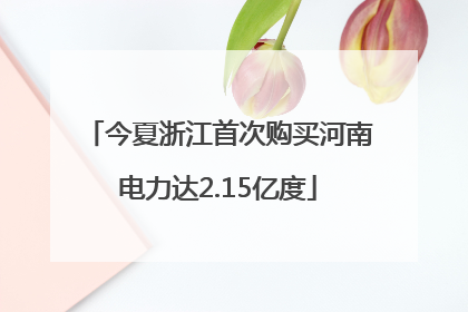 今夏浙江首次购买河南电力达2.15亿度