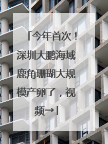 今年首次！深圳大鹏海域鹿角珊瑚大规模产卵了，视频→