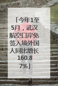 今年1至5月，武汉航空口岸免签入境外国人同比增长160.87%