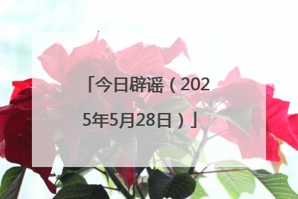 今日辟谣（2025年5月28日）