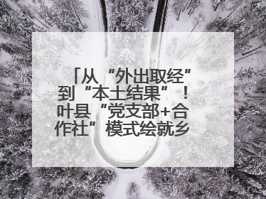 从“外出取经”到“本土结果”！叶县“党支部+合作社”模式绘就乡村振兴新图景