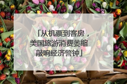 从机票到客房，美国旅游消费萎缩敲响经济警钟