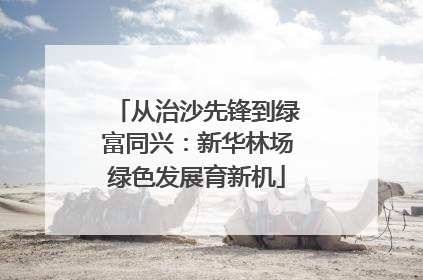 从治沙先锋到绿富同兴：新华林场绿色发展育新机