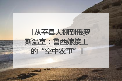 从莘县大棚到俄罗斯温室：鲁西嫁接工的“空中农事”