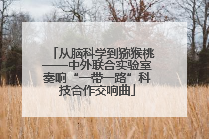 从脑科学到猕猴桃——中外联合实验室奏响“一带一路”科技合作交响曲