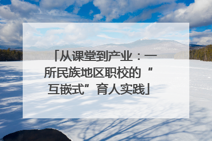 从课堂到产业：一所民族地区职校的“互嵌式”育人实践