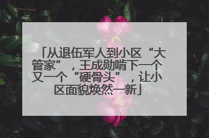 从退伍军人到小区“大管家”，王成勋啃下一个又一个“硬骨头”，让小区面貌焕然一新
