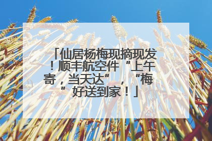 仙居杨梅现摘现发！顺丰航空件“上午寄，当天达”，“梅”好送到家！