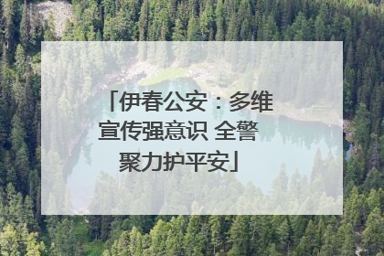 伊春公安：多维宣传强意识 全警聚力护平安