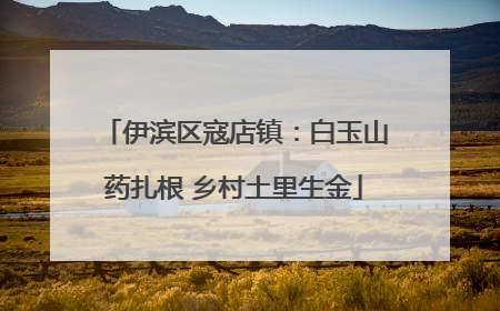 伊滨区寇店镇：白玉山药扎根 乡村土里生金