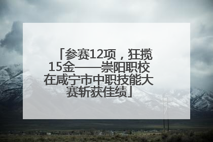 参赛12项，狂揽15金——崇阳职校在咸宁市中职技能大赛斩获佳绩
