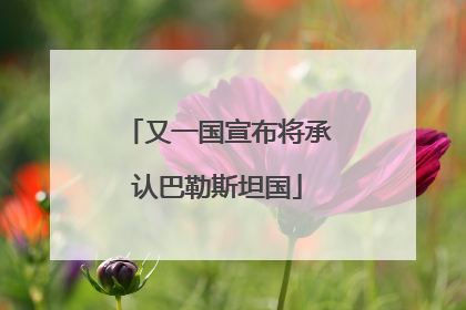 又一国宣布将承认巴勒斯坦国