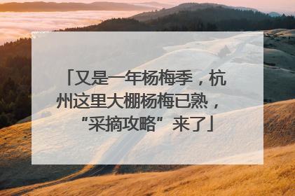 又是一年杨梅季，杭州这里大棚杨梅已熟，“采摘攻略”来了
