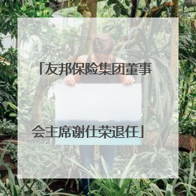 友邦保险集团董事会主席谢仕荣退任