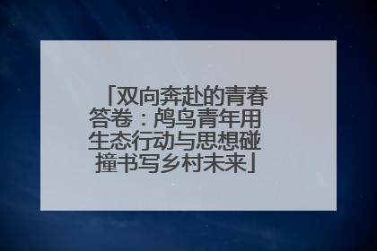 双向奔赴的青春答卷：鸬鸟青年用生态行动与思想碰撞书写乡村未来