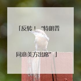 反转！“特朗普同意美方出席”