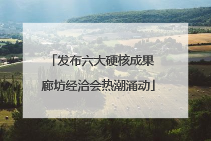 发布六大硬核成果 廊坊经洽会热潮涌动