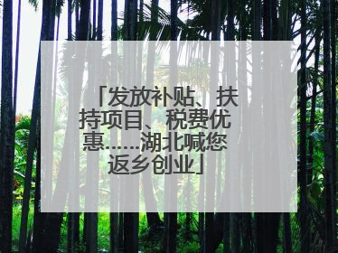 发放补贴、扶持项目、税费优惠……湖北喊您返乡创业