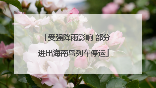 受强降雨影响 部分进出海南岛列车停运