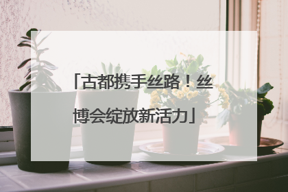 古都携手丝路！丝博会绽放新活力