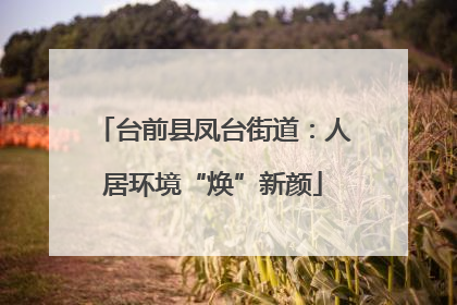 台前县凤台街道：人居环境“焕”新颜
