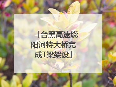 台黑高速绕阳河特大桥完成T梁架设