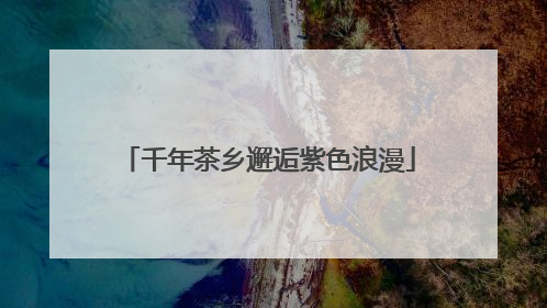 千年茶乡邂逅紫色浪漫