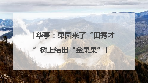 华亭：果园来了“田秀才”树上结出“金果果”