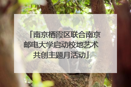 南京栖霞区联合南京邮电大学启动校地艺术共创主题月活动