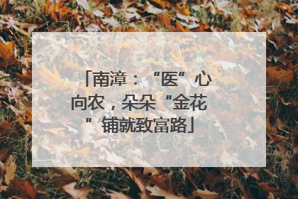 南漳：“医”心向农，朵朵“金花”铺就致富路