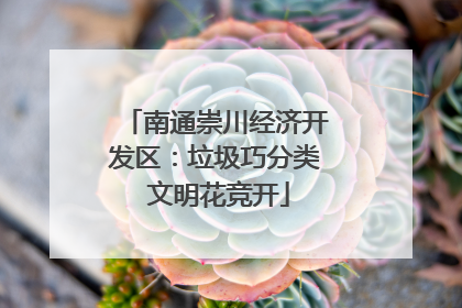 南通崇川经济开发区：垃圾巧分类 文明花竞开