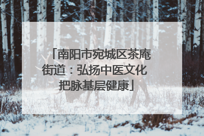 南阳市宛城区茶庵街道：弘扬中医文化 把脉基层健康