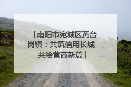 南阳市宛城区黄台岗镇：共筑信用长城 共绘营商新篇