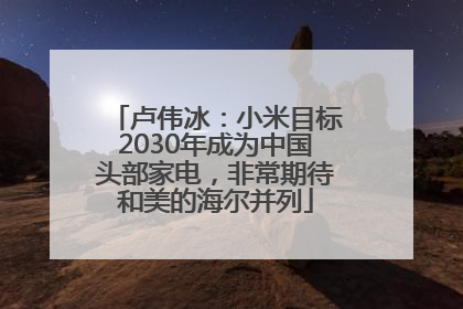 卢伟冰：小米目标2030年成为中国头部家电，非常期待和美的海尔并列