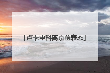 卢卡申科离京前表态