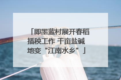 即墨蓝村展开春稻插秧工作 千亩盐碱地变“江南水乡”