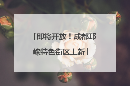 即将开放！成都邛崃特色街区上新