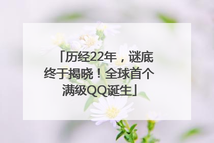 历经22年，谜底终于揭晓！全球首个满级QQ诞生