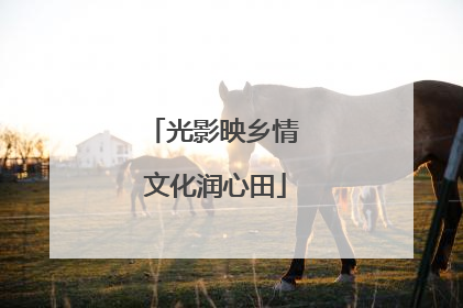 光影映乡情 文化润心田