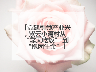 党建引领产业兴，紫云小湾村从 “靠天吃饭” 到 “抱团生金”