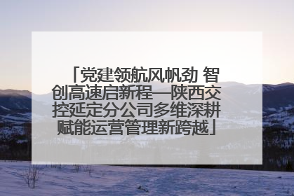 党建领航风帆劲 智创高速启新程—陕西交控延定分公司多维深耕赋能运营管理新跨越
