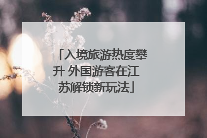 入境旅游热度攀升 外国游客在江苏解锁新玩法