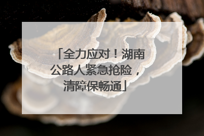 全力应对！湖南公路人紧急抢险，清障保畅通