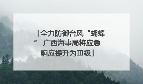 全力防御台风“蝴蝶” 广西海事局将应急响应提升为Ⅲ级