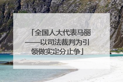 全国人大代表马丽——以司法裁判为引领做实定分止争