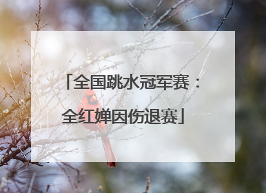 全国跳水冠军赛：全红婵因伤退赛