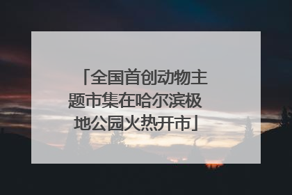 全国首创动物主题市集在哈尔滨极地公园火热开市
